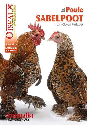 Couverture du livre « La Poule Sabelpoot » de Jean Claude Periquet aux éditions Animalia