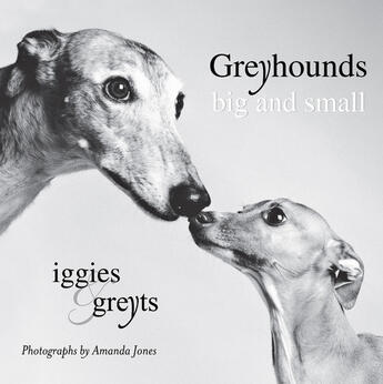 Couverture du livre « Greyhounds Big and Small » de Jones Amanda aux éditions Penguin Group Us