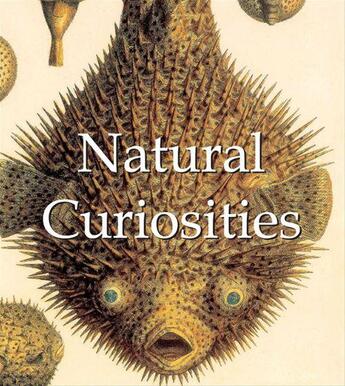 Couverture du livre « Natural Curiosities » de Victoria Charles aux éditions Parkstone International