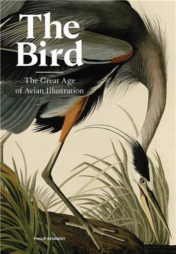 Couverture du livre « The bird the great age of avian illustration » de Philip Kennedy aux éditions Laurence King