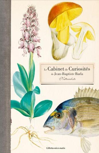 Couverture du livre « Le cabinet de curiosités de Jean-Baptiste Barla, naturaliste » de Brigitte Rollier et Alain Dody et Daniele Defay aux éditions Gilletta