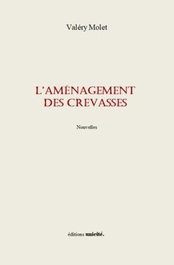 Couverture du livre « L'aménagement des crevasses » de Valery Molet aux éditions Unicite