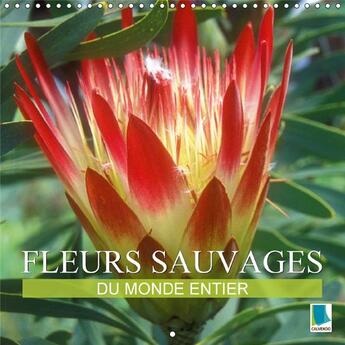 Couverture du livre « Fleurs sauvages du monde entier calendrier mural 2018 300 30 - les parentes sauvages de nos f » de Calvendo aux éditions Calvendo