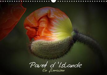 Couverture du livre « Le pavot d islande depuis le b » de Brillard Thierr aux éditions Calvendo