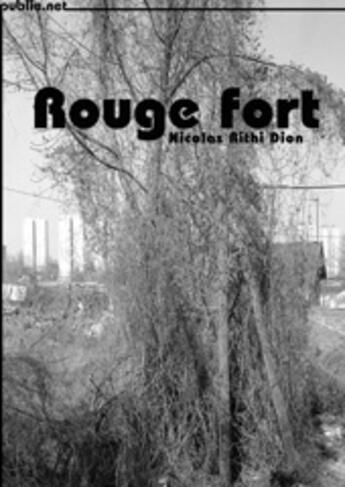 Couverture du livre « Rouge fort » de Nicolas Rithi Dion aux éditions Publie.net