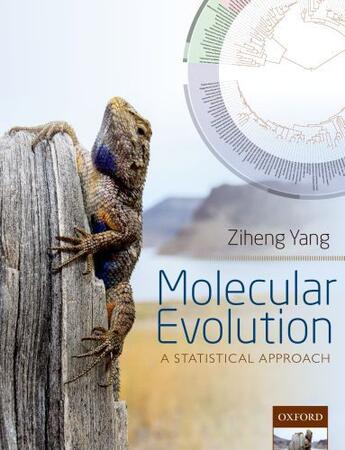 Couverture du livre « Molecular Evolution: A Statistical Approach » de Yang Ziheng aux éditions Oup Oxford