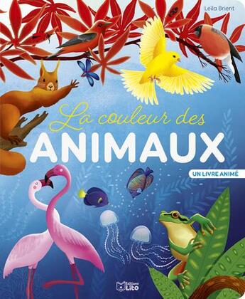 Couverture du livre « La couleur des animaux » de Leila Brient aux éditions Lito