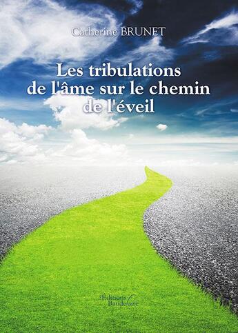 Couverture du livre « Les tribulations de l'âme sur le chemin de l'éveil » de Catherine Brunet aux éditions Baudelaire