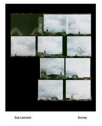 Couverture du livre « Zoe Leonard ; survey » de Bennett Simpson aux éditions Prestel