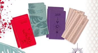 Couverture du livre « Pack 12 agendas petits formats 2025 colorline » de  aux éditions Cartotheque Egg