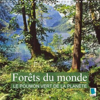 Couverture du livre « Forets du monde le poumon vert de la planete calendrier mura - la foret des oasis de paix et » de Calvendo aux éditions Calvendo