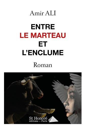 Couverture du livre « Entre le marteau et l enclume » de Amir Ali aux éditions Saint Honore Editions