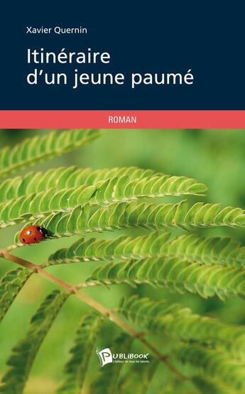 Couverture du livre « Itineraire D'Un Jeune Paume » de Xavier Quernin aux éditions Publibook