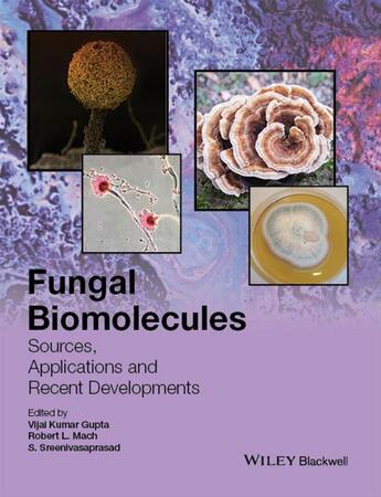 Couverture du livre « Fungal Biomolecules » de Vijai Kumar Gupta et Robert L. Mach et S Sreenivasaprasad aux éditions Wiley-blackwell