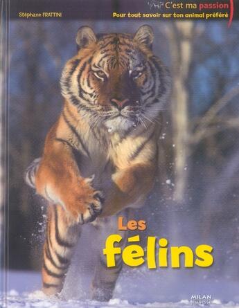 Couverture du livre « Les félins » de Benoit Charles aux éditions Milan