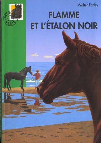 Couverture du livre « L'étalon noir : Flamme et l'étalon noir » de Walter Farley et Steven Farley aux éditions Hachette Jeunesse