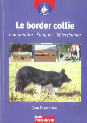 Couverture du livre « Le Border Collie » de Jean Piacentino aux éditions France Agricole