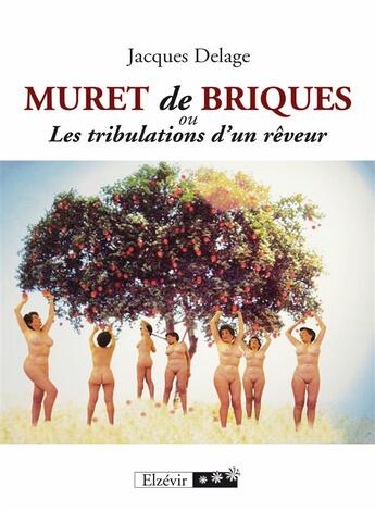 Couverture du livre « Muret de briques ou les tribulations dun rêveur » de Jacques Delage aux éditions Elzevir