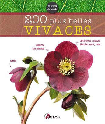 Couverture du livre « 200 plus belles vivaces » de  aux éditions Artemis