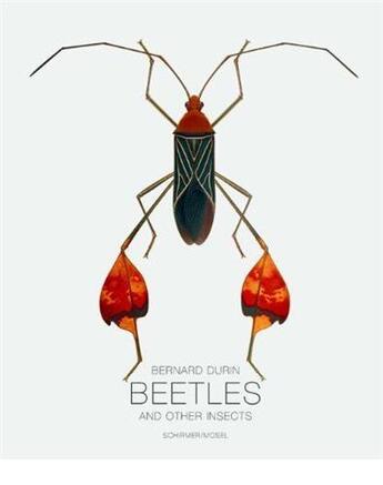 Couverture du livre « Bernard durin beetles and other insects » de Durin Bernard aux éditions Schirmer Mosel