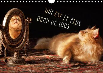 Couverture du livre « Chats eleves dans l examen bea » de Gross Viktor aux éditions Calvendo