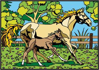 Couverture du livre « Cheval 2 » de  aux éditions Grenouille