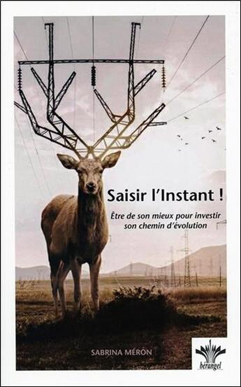 Couverture du livre « Saisir l'instant ! être de son mieux pour investir son chemin d'évolution » de Sabrina Meron aux éditions Berangel