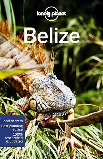 Couverture du livre « Belize (8e édition) » de Collectif Lonely Planet aux éditions Lonely Planet France