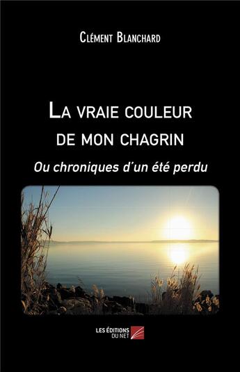 Couverture du livre « La vraie couleur de mon chagrin ou chroniques d'un été perdu » de Clement Blanchard aux éditions Editions Du Net