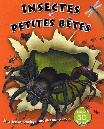 Couverture du livre « Insectes et petites bêtes » de  aux éditions Elcy Jeunesse