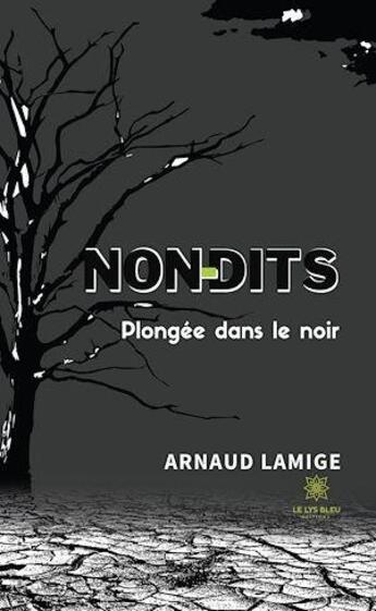 Couverture du livre « Non-dits : plongée dans le noir » de Arnaud Lamige aux éditions Le Lys Bleu