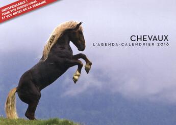 Couverture du livre « L'agenda-calendrier 2016 ; chevaux » de  aux éditions Hugo Image