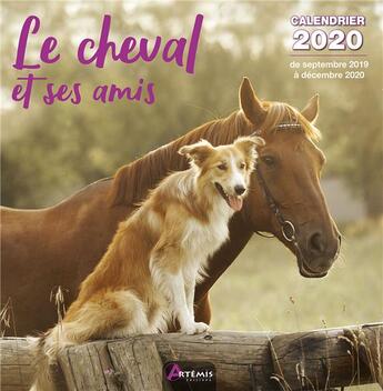 Couverture du livre « Calendrier cheval et ses amis (2020) » de  aux éditions Artemis