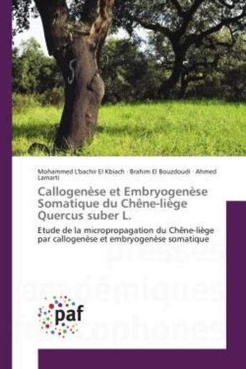 Couverture du livre « Callogenese et embryogenese Somatique du Chène-liège Quercus suber L. : Etude de la micropropagation du Chène-liège par callogenèse et embryogenèse somatique » de Kbiach, , Mohammed aux éditions Editions Universitaires Europeennes