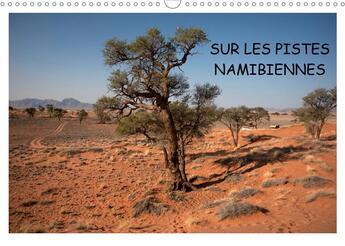 Couverture du livre « Sur les pistes namibiennes (Calendrier mural 2020 DIN A3 horizontal) ; à la découverte de la Namibie (Calendrier mensuel, 14 Pages ) » de Rakowski Cyril aux éditions Calvendo