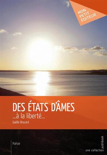 Couverture du livre « Des états d'âmes » de Brocard Gaelle aux éditions Publibook