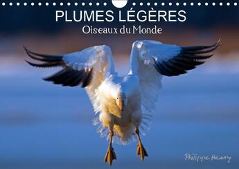 Couverture du livre « Treize photos d oiseaux en act » de Philippe Henry aux éditions Calvendo