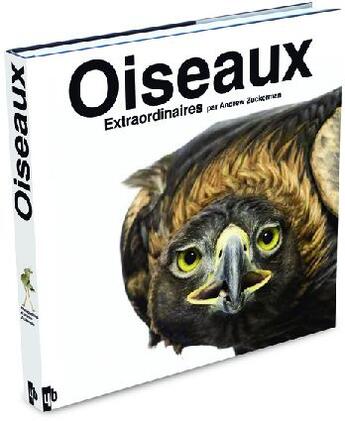 Couverture du livre « Oiseaux extraordinaires » de Zuckerman Andrew aux éditions Yb