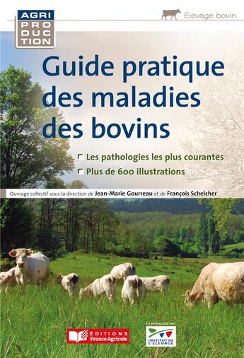 Couverture du livre « Guide pratique des maladies des bovins » de Collectif Petit Fute et Jean-Marie Gourreau et Francois Schelcher aux éditions France Agricole