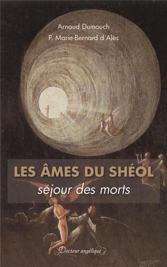 Couverture du livre « Les âmes du Shéol, séjour des morts » de Arnaud Dumouch et P. Marie-Bernard D' Ales aux éditions Docteur Angelique