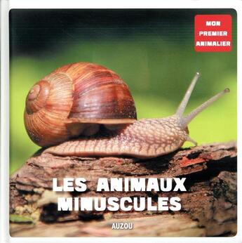 Couverture du livre « Les animaux minuscules » de  aux éditions Philippe Auzou