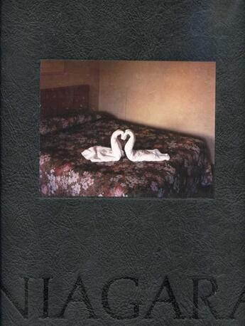 Couverture du livre « Alec soth niagara » de Alec Soth aux éditions Steidl