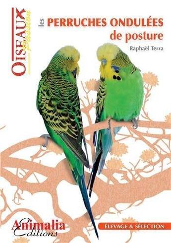 Couverture du livre « Les perruches ondulées de posture » de Raphael Terra aux éditions Animalia