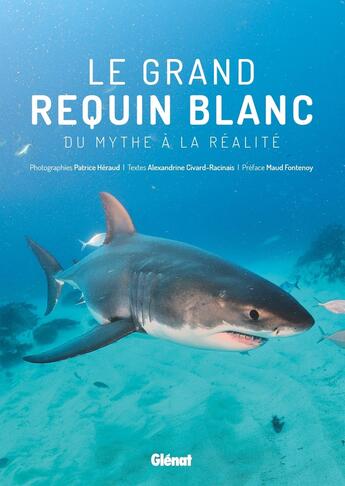 Couverture du livre « Le grand requin blanc ; du mythe à la réalité » de Alexandrine Civard-Racinais et Patrice Heraud aux éditions Glenat