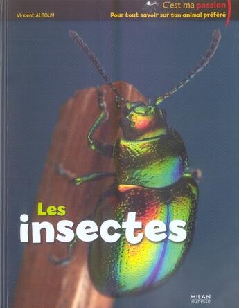 Couverture du livre « Les insectes » de Vincent Albouy aux éditions Milan