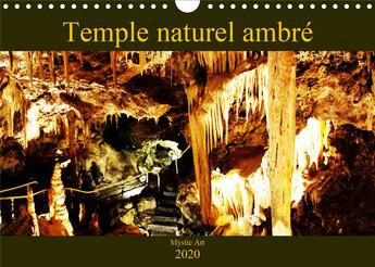 Couverture du livre « Temple naturel ambré (édition 2020) » de Carine Dito aux éditions Calvendo