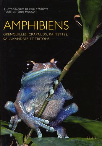 Couverture du livre « Amphibiens » de Moncuit/Starosta aux éditions Seuil