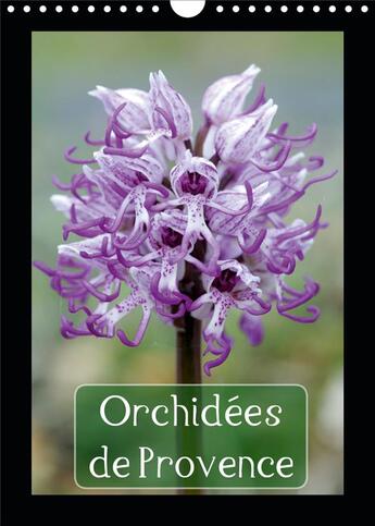 Couverture du livre « Orchidees de provence calendrier mural 2020 din a4 vertical - orchidees rencontrees dans les » de Lepage Francois aux éditions Calvendo