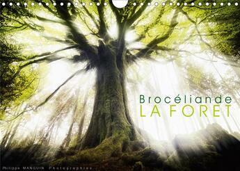 Couverture du livre « Broceliande la foret calendrier mural 2020 din a4 horizontal - photographies de la foret de b » de Manguin Philipp aux éditions Calvendo