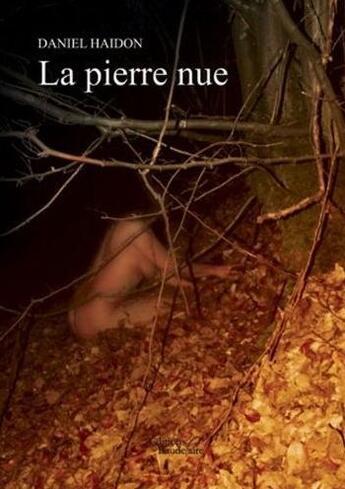 Couverture du livre « La pierre nue » de Daniel Haidon aux éditions Baudelaire